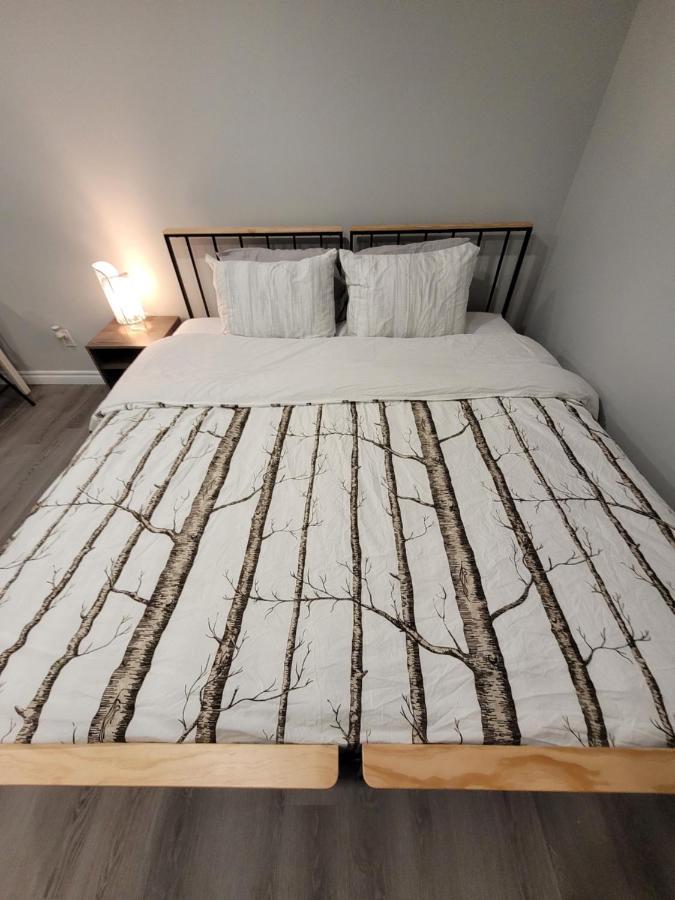 טורונטו Guest House Basement - Master Bedrooms In Bayview Village מראה חיצוני תמונה